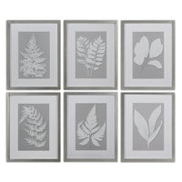 Uttermost Moonlight Ferns Framed Art, S/6