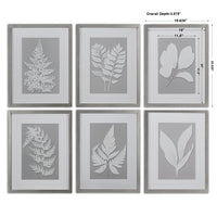Uttermost Moonlight Ferns Framed Art, S/6