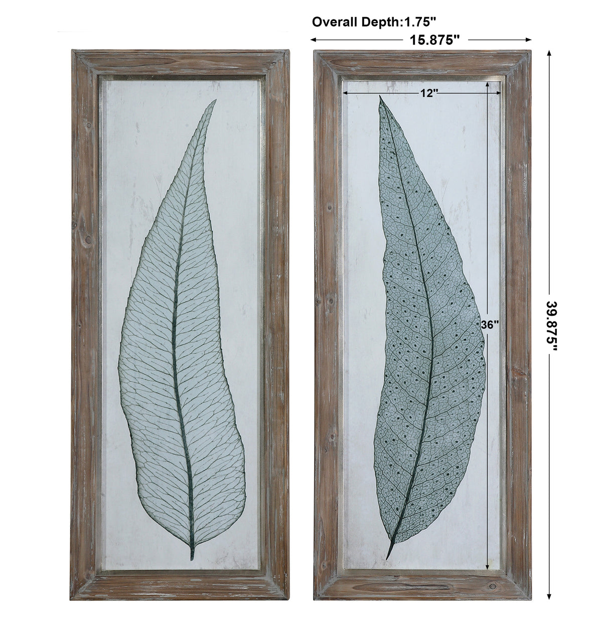 Uttermost Tall Leaves Framed Art Set/2