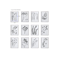 Uttermost Contemporary Botanicals Framed Prints, S/12