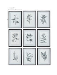 Uttermost Farmhouse Florals Framed Prints, S/9