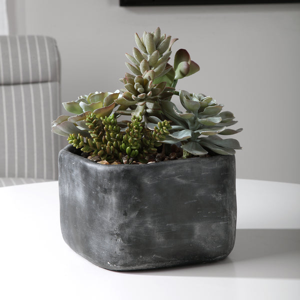 Uttermost Alverio Desert Garden Succulents