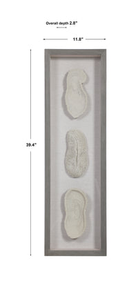 Uttermost White Coral Shadow Box