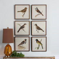 Uttermost Spring Soldiers Bird Prints, S/6