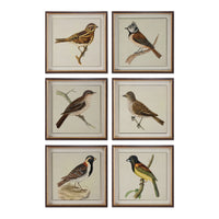 Uttermost Spring Soldiers Bird Prints, S/6