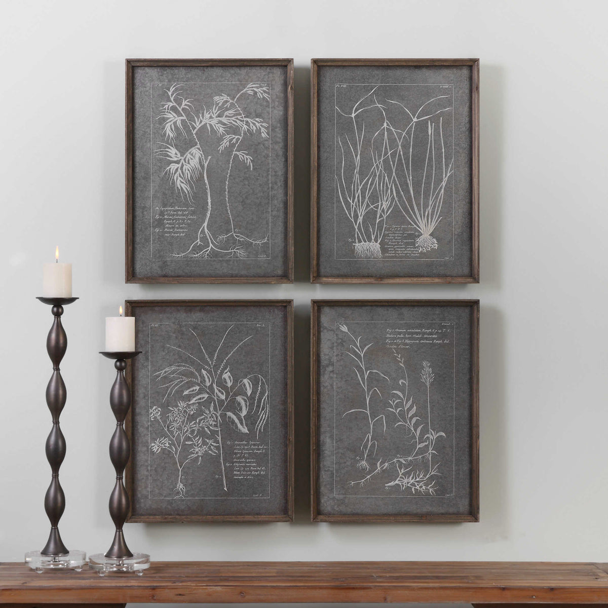 Uttermost Root Study Print Art S/4