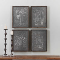 Uttermost Root Study Print Art S/4
