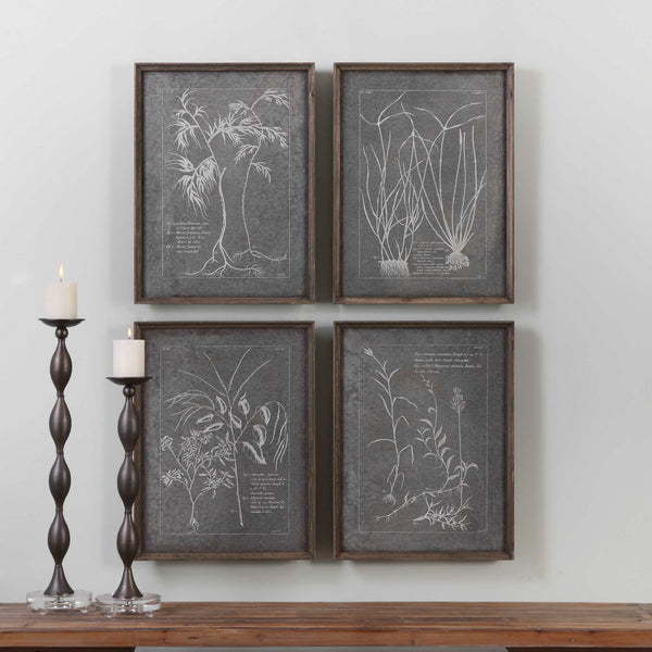 Uttermost Root Study Print Art S/4