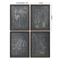 Uttermost Root Study Print Art S/4