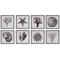 Uttermost Sea Living Framed Prints, S/8