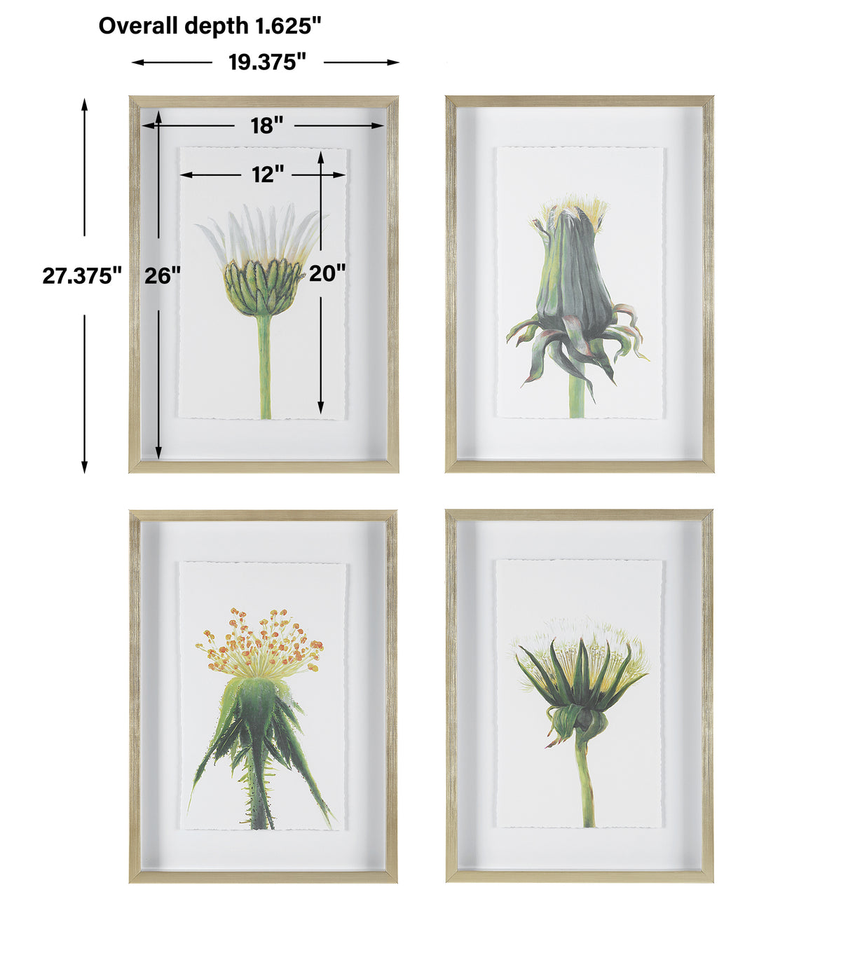 Uttermost Wildflowers Gold Framed Prints, S/4