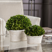 Uttermost Oval Domes Preserved Boxwood Set/2