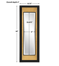 Uttermost Roston Black & Gold Mirror